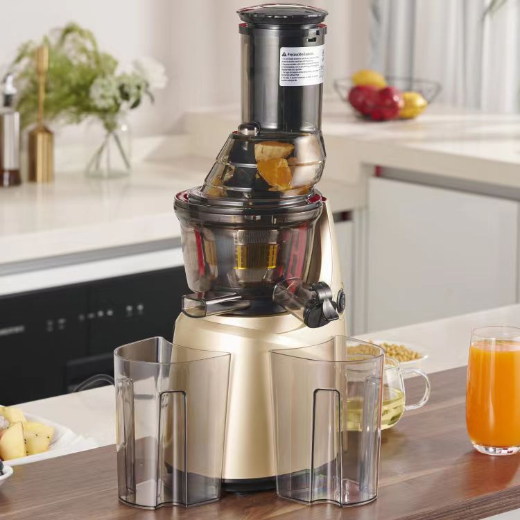 Best Stainless Steel 60 Househ - огляд і ціна Electric Slow Juicer Cold Press
