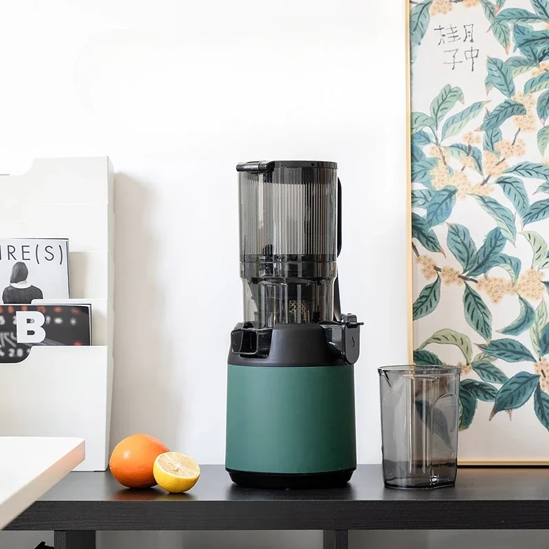 220V Slow Juicer Cold Press Ex - огляд і ціна Electric Slow Juicer Cold Press